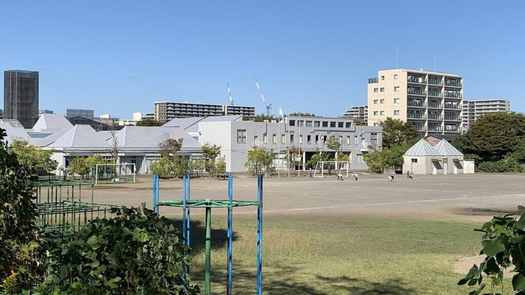 記事の画像